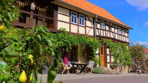 Fachwerkhaus mit rustikalem Weinkeller und Garten, ganze Unterkunft, gute Lage